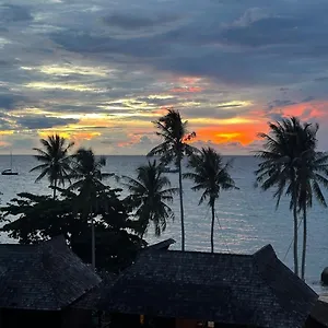 Blue Chitta Yoga & Freediving Auberge de jeunesse Koh Tao