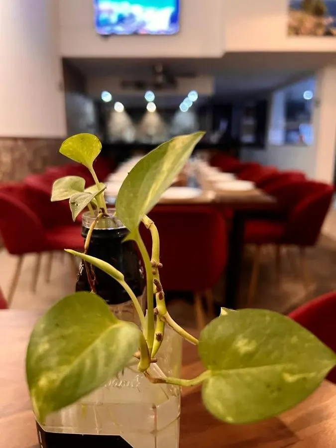 بلايا ديل كارمن Deluxe Condos 42